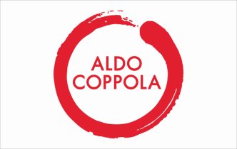 Оформление торгового пространства для салона "Aldo Coppola" Жуковка